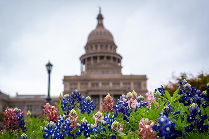 President's Message: Laying-the-Groundwork