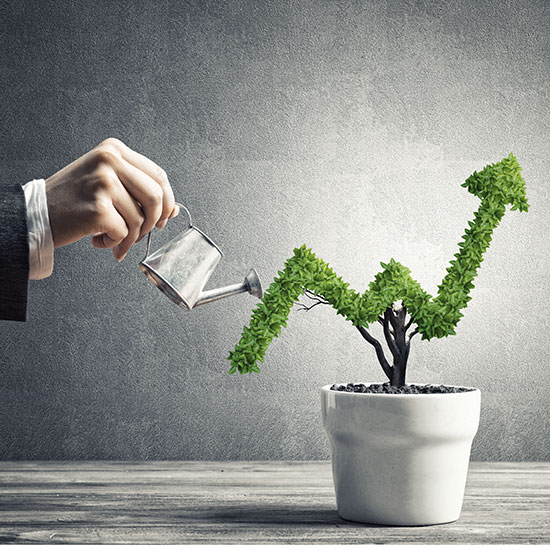 Industry-Specific Growth as Unemployment Remains Stable; A hand waters a potted plant shaped like an upward-pointing arrow, symbolizing growth and success, against a textured gray background.